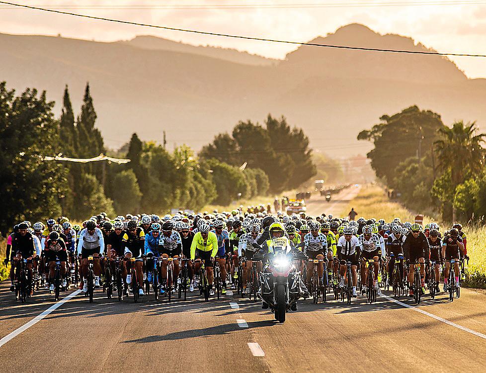 Mallorca 312