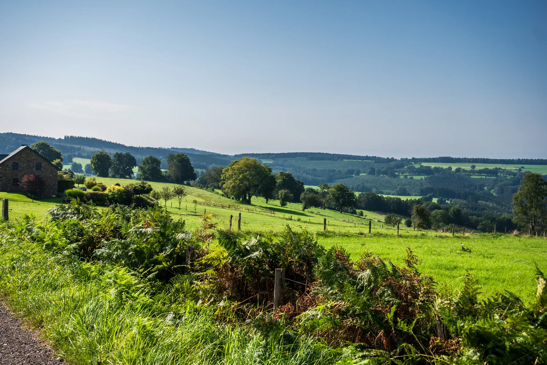 Grüne Landschaft in den Ardennen