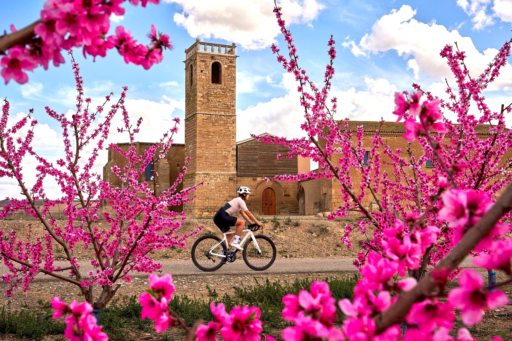 Frauen auf dem Rennrad beim Mallorca Ladies Ride